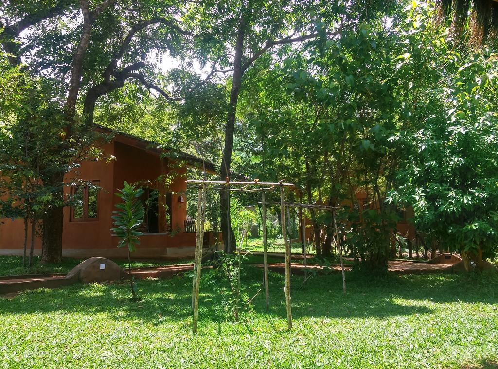 Kuwera Eco Lodge Sigirija Zewnętrze zdjęcie