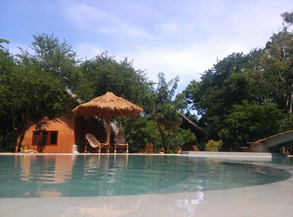 Kuwera Eco Lodge Sigirija Pokój zdjęcie
