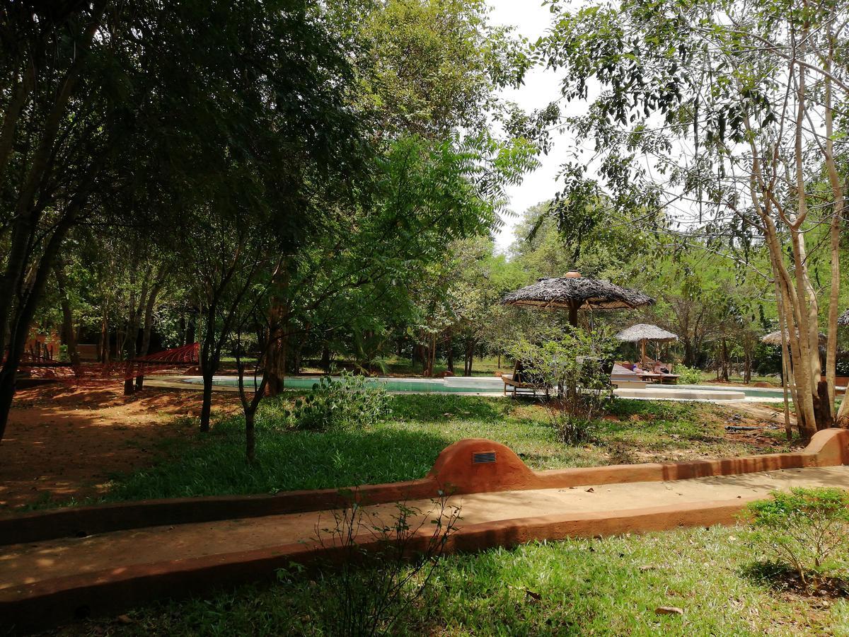 Kuwera Eco Lodge Sigirija Zewnętrze zdjęcie