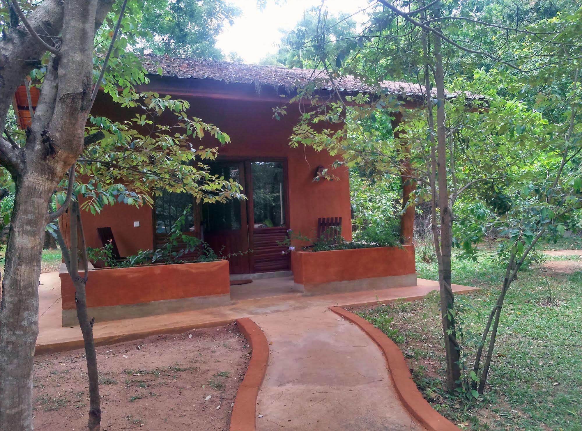 Kuwera Eco Lodge Sigirija Zewnętrze zdjęcie