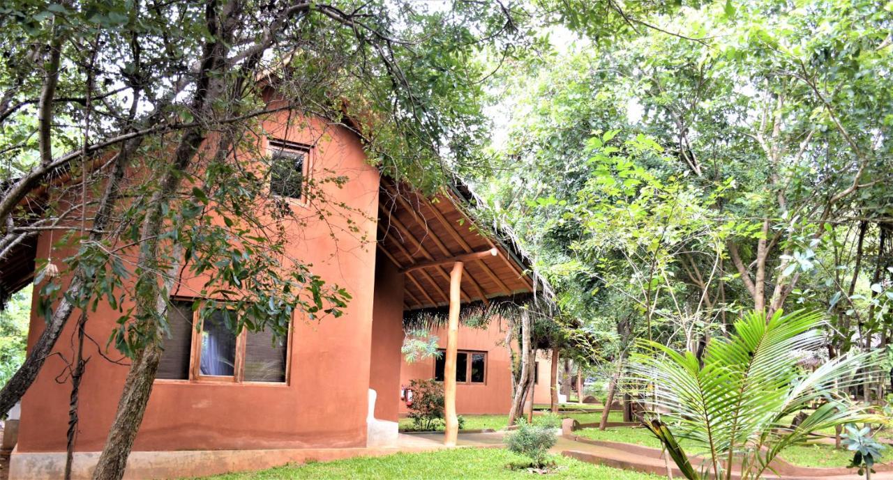 Kuwera Eco Lodge Sigirija Zewnętrze zdjęcie