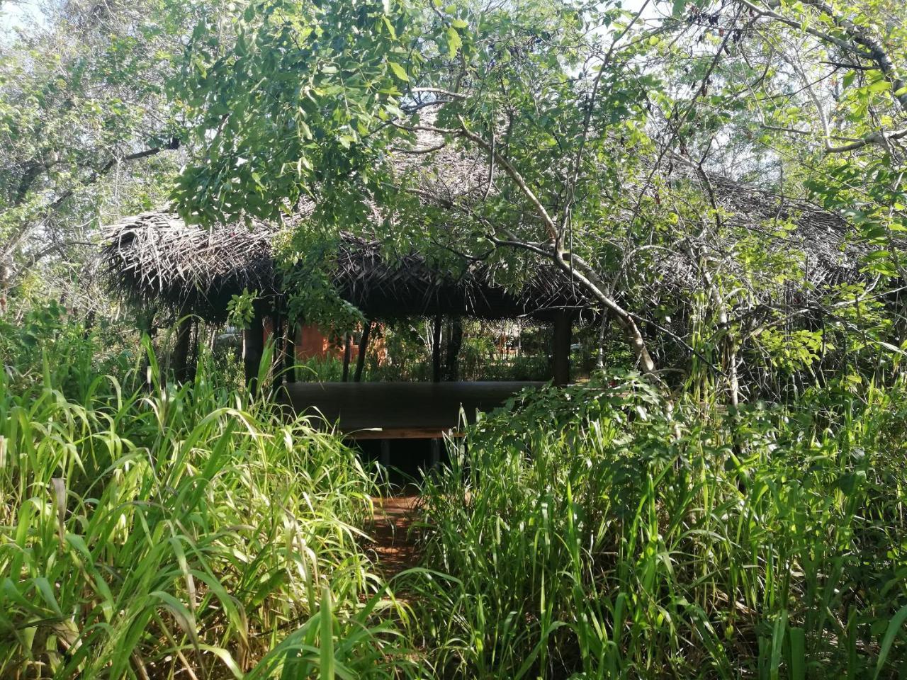 Kuwera Eco Lodge Sigirija Zewnętrze zdjęcie